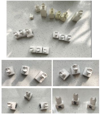 “以賽促教、以賽促學(xué)”--我院第三屆現(xiàn)代學(xué)徒制技能大賽圓滿(mǎn)結(jié)束