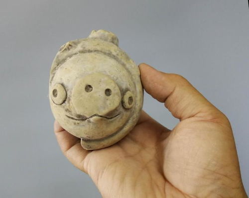 這只3200年前的豬上熱搜了 網友 瞬間穿越了