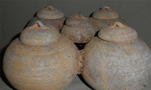 漢代印紋硬陶的相關(guān)問(wèn)題研究