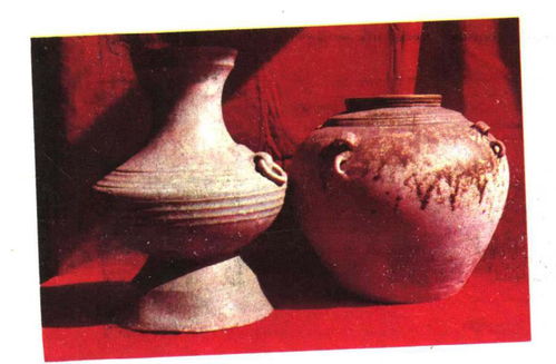 重慶 竹文化 地圖出爐,開州區(qū)竹溪鎮(zhèn)上榜